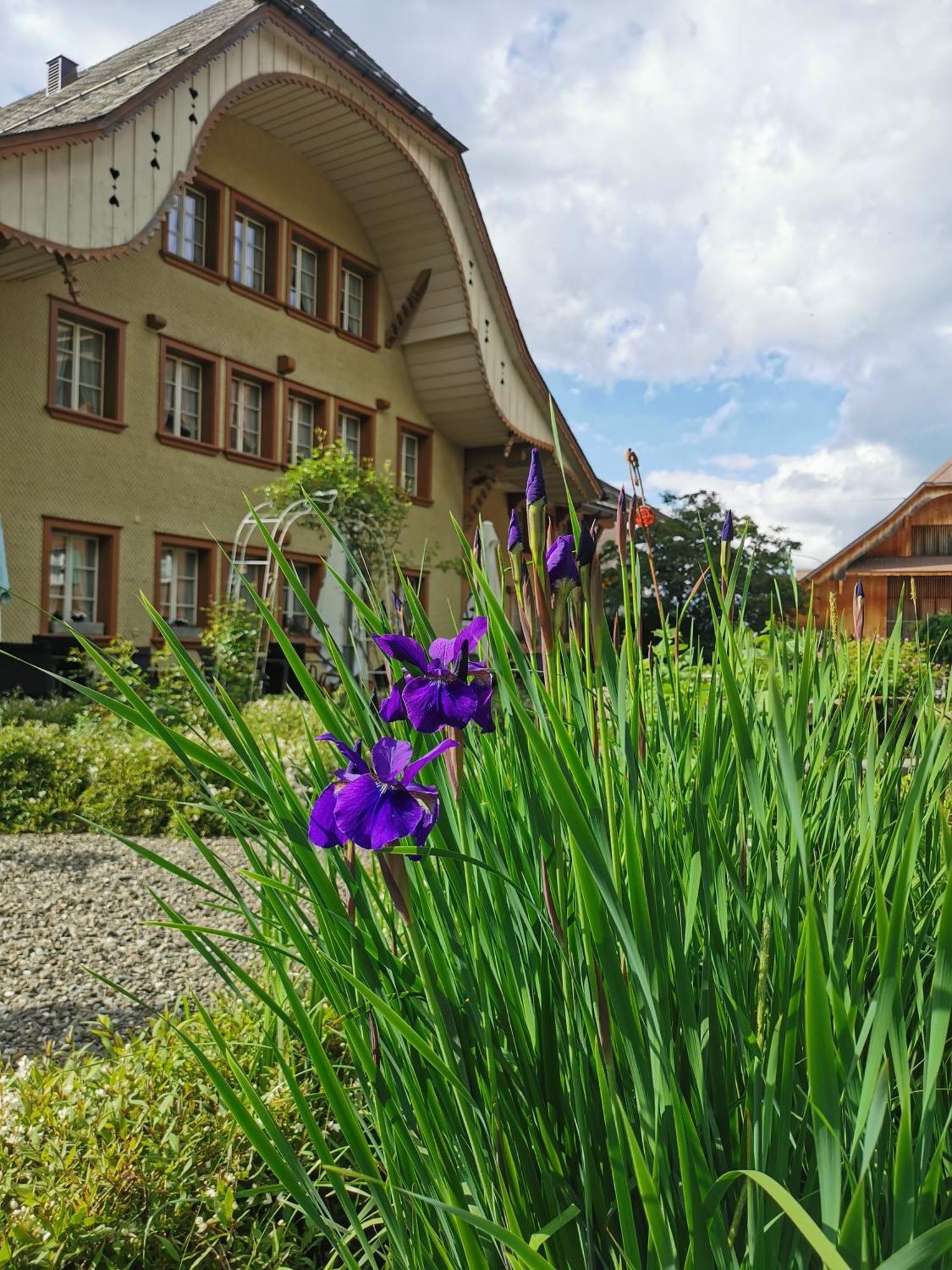 Gasthof Kreuz Marbach Buitenkant foto