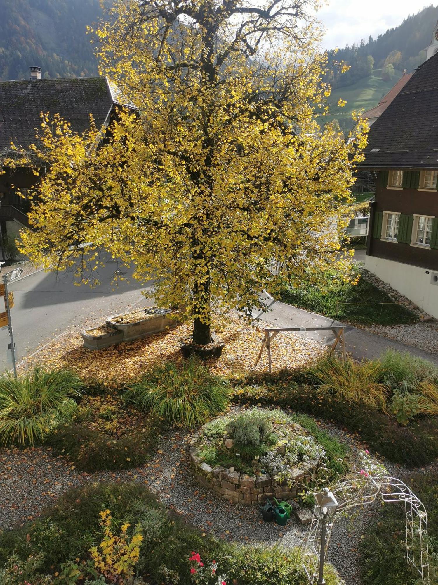 Gasthof Kreuz Marbach Buitenkant foto